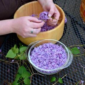 Folk medicines to treat pain in the fingers joints